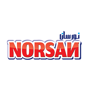 LOGOS_norsan (1)